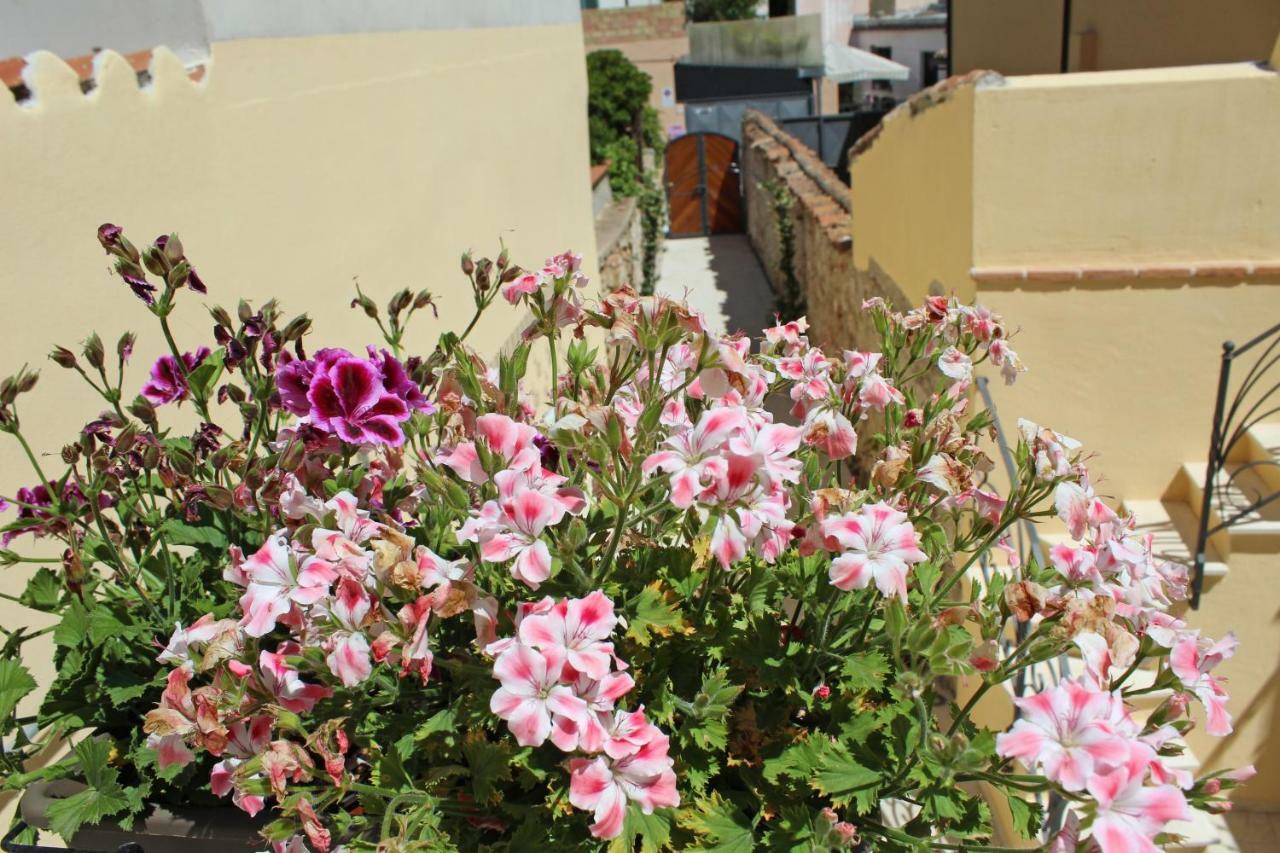 Ogliastra Luxury Apartment - Ajpsardinia Tortoli Bagian luar foto